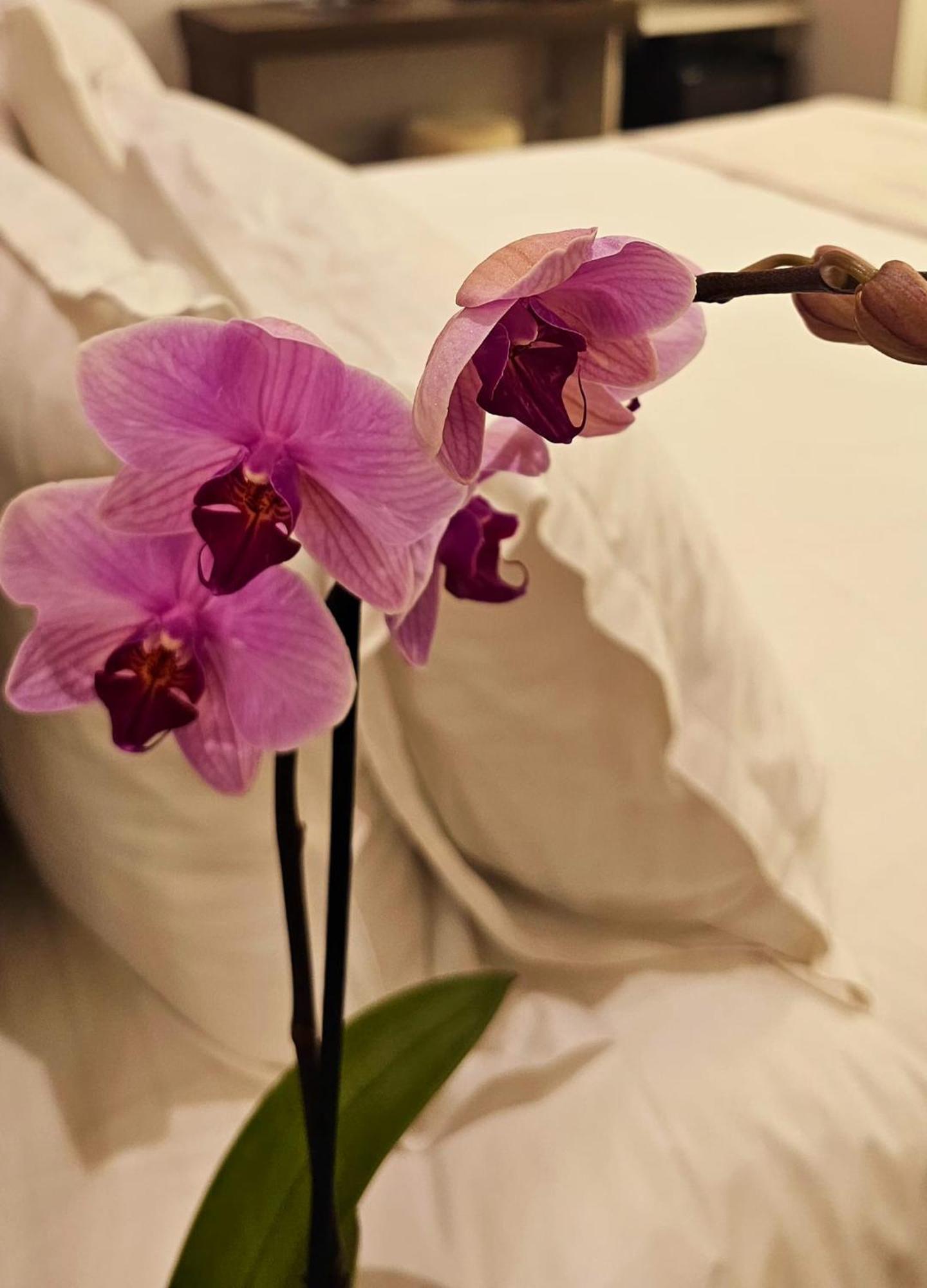 Stoa Rome Boutique Suites Buitenkant foto